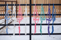 Mule Tape Halters