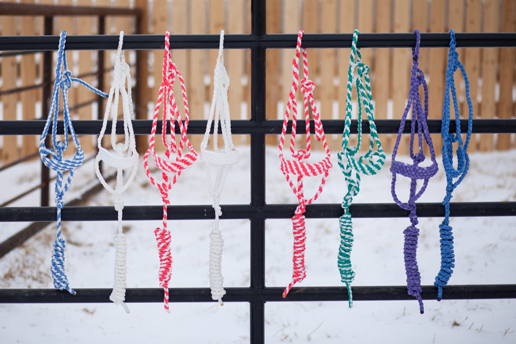 Mule Tape Halters