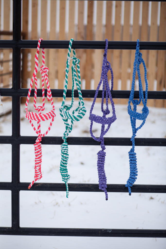 Mule Tape Halters
