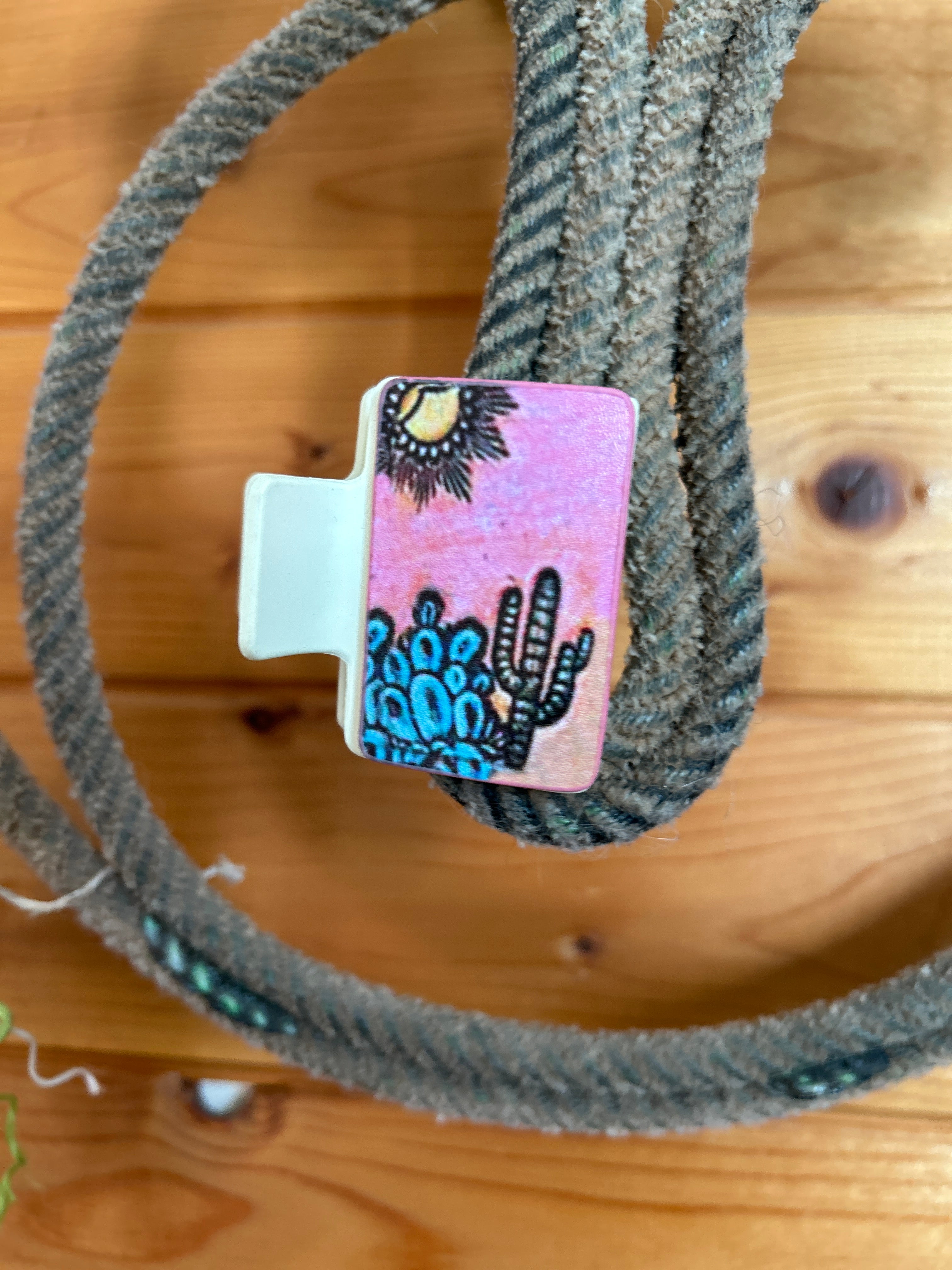 Small Hair Clip- Sunset Cactus