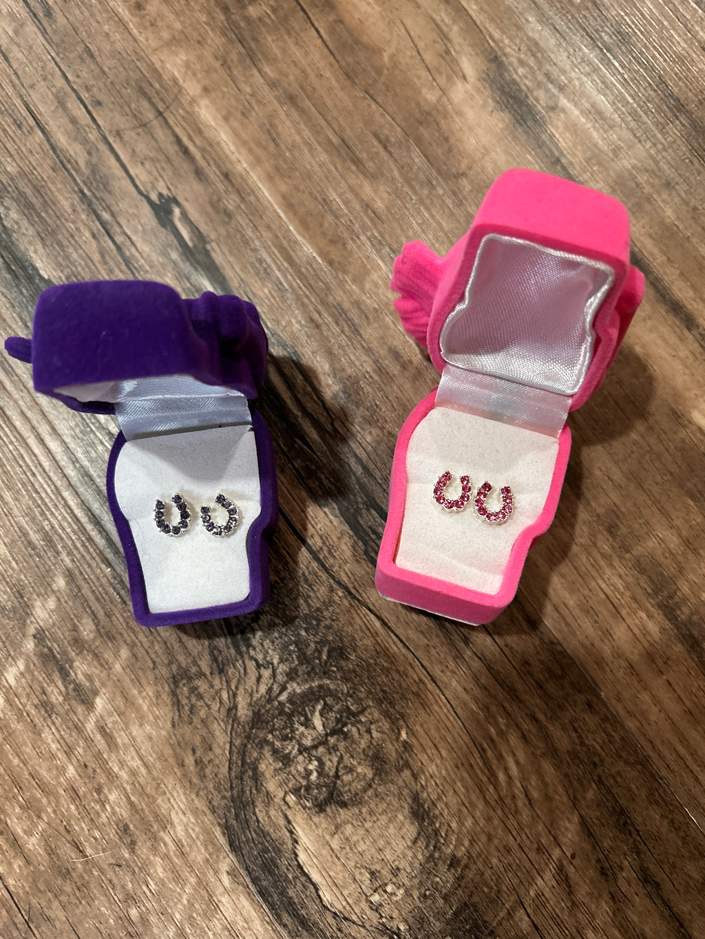 Horseshoe Earrings
