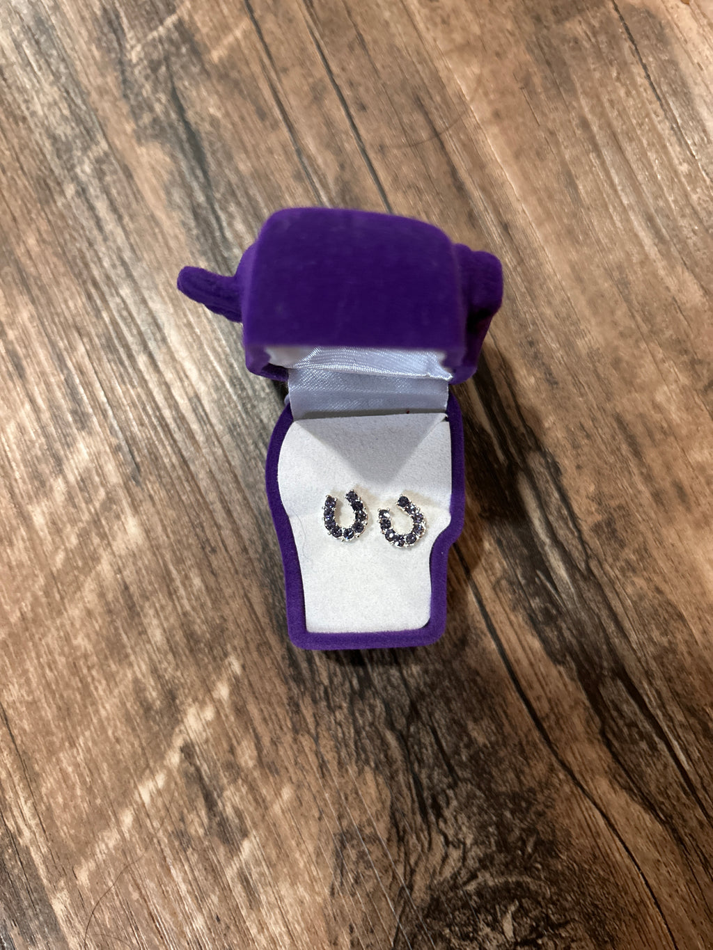 Horseshoe Earrings