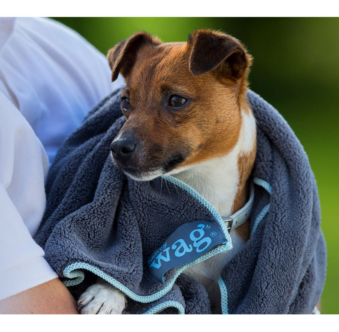 Henry Wag- MicroFibre Cleaning Towel