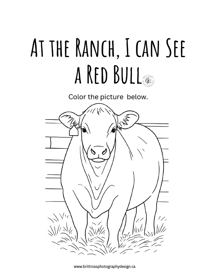 Ranch Kid Adventures Activity Books (Pre-Order)
