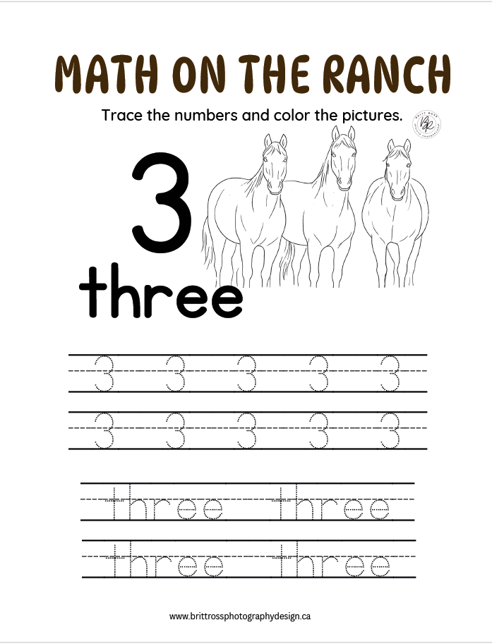 Level 1 Ranch Hand Activity Pages (Digital Download)